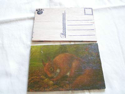 Carte postale Ã©cureuil noir CP50