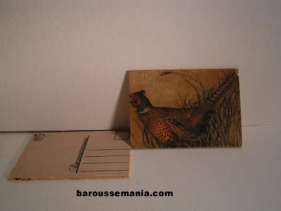 Carte postale faisan CP62