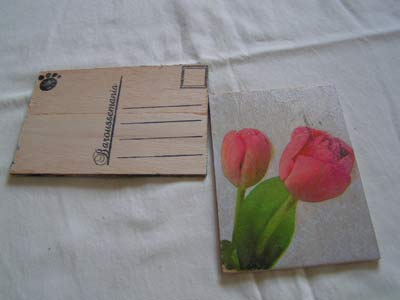 Carte tulipe rose CP45